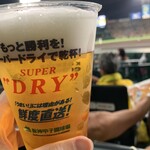 阪神甲子園球場 - 