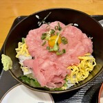 Tsukiji Ichiba - ネギトロ丼