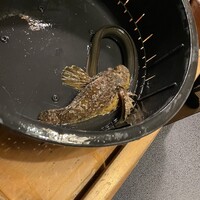 日本料理 梅林 -  日本料理 梅林 -