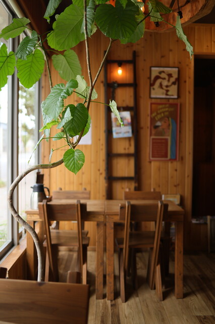 Garam Masala photo 5