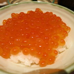 神保町 傳 - 25年10月　新イクラと新米