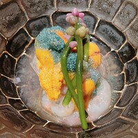 天満橋 吉安 - 甘海老の昆布締め②