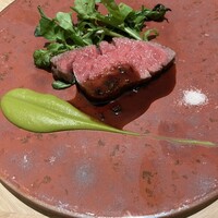 SCALAE - 