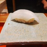 初音鮨 - アオリイカ