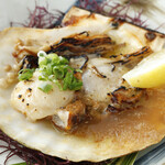 Live scallops with shell