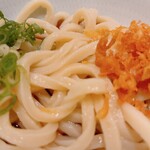 Seto Udon - 