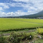 芳本茶寮 - 