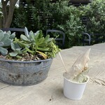 イタリアンジェラート ドルチェ - 