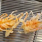 てんぷらと和食 山の上 本店・御茶ノ水 - 