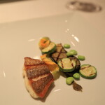 Hérisson d'un jour - 