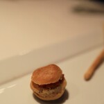 Hérisson d'un jour - 