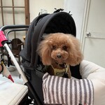 TASTY PLACE THE DINING - 美容室行きたてだから、少し可愛いでしょ？ｗ