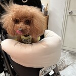 TASTY PLACE THE DINING - 野菜を狙っているらしいｗ