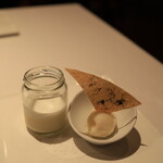 Hérisson d'un jour - 