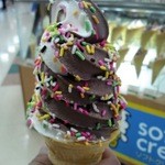 タカラブネ - 美味しいソフトクリーム、これは220円