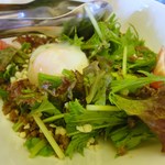 肉玉屋 - 温玉サラダ