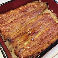 鰻割烹 伊豆栄 本店 -  鰻割烹 伊豆栄 本店 -