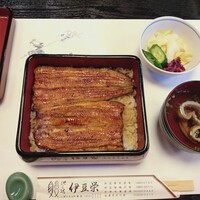 鰻割烹 伊豆栄 本店 -  鰻割烹 伊豆栄 本店 -