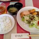 ほおの木茶屋 - ミックスランチ\1300　右皿の上下逆(私のセットミス)　エビフライはカリプリで美味　南蛮も柔らかくソースも美味い　コロッケもホクホク　ハンバーグは次Picで　お薦めメニューです。味噌汁かまた格別。