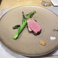 トレヴィーテ - 