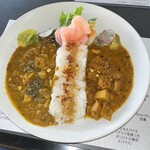 スパイスカレー MIKATSUKI - 料理写真: