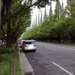 鮨 龍次郎 - 外苑前イチョウ並木。お店はこの近くです。