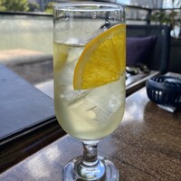 スミレオオサカ - 