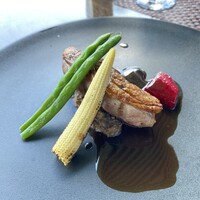 スミレオオサカ - 