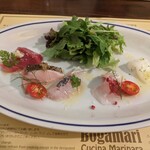 ボガマリ・クチーナ・マリナーラ - カルパッチョ