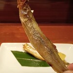 海鮮居酒や 小鉢 - 