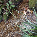 とらや工房 - 小川のせせらぎ