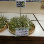 Sapporo Satorando - 枝豆