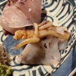 温石 - 手前がジンドウいか。関東ではヒイカと呼ぶ小さなイカです。片面を炭で焼鏝仕上げ。ゲソもトッピング。黒い粉は自家製のイカ墨です