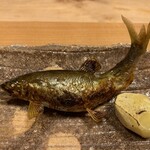 柚木元 - 子持ち鮎のタレ焼き