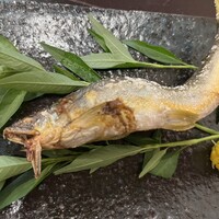 和食 ふじ波 - 