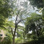 レイドバックバーガー - 