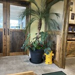 ALOHA CAFE Pineapple - 