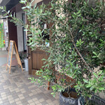 イタリアンバル キクバル - 