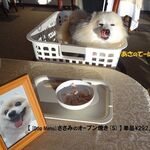 CARO FORESTA Karuizawa Jyarudino - 《[狗狗菜單]雞胸肉烤製(S)單品》♨