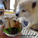 CARO FORESTA Karuizawa Jyarudino - 今年首次的『海鮮丼』♪