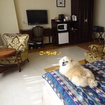 CARO FORESTA Karuizawa Jyarudino - 人氣房間單人使用♪