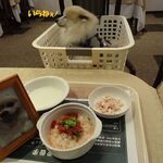 CARO FORESTA軽井沢ジャルディーノ - グルメわん仔。。