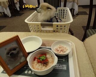 CARO FORESTA軽井沢ジャルディーノ - グルメわん仔。。