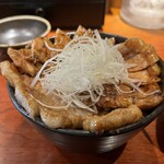 十勝ダイニング 豚っく - 十勝かみこみ豚 本物の豚丼 大 (肉240g、ご飯350g) 1480円 ※ハーフ＆ハーフ(バラとロース) ※サラダ、味噌汁付き
            2023年9月10日