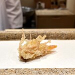 日本橋 蕎ノ字 - 車えび 頭 1