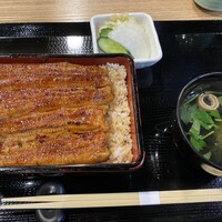 うなぎ 目白ぞろ芽 - 