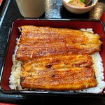 Unagi Hamana - 