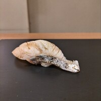 寿司処 かい原 - 