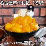 本格ピンス専門店 solfa - 