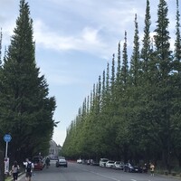 キハチ 青山本店 - 